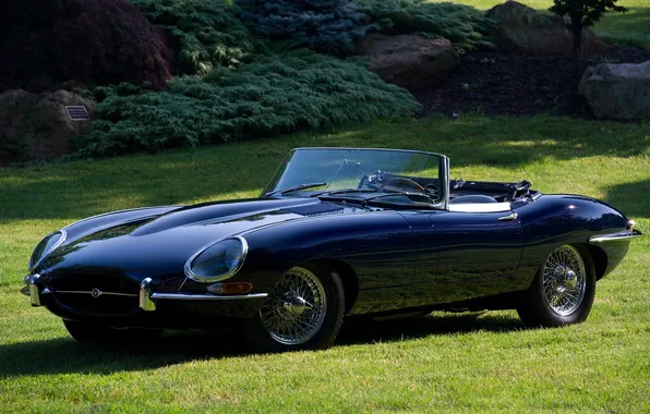 Картинка газон, Jaguar, Ягуар, E-Type, классика, кусты, передок, красивая машина