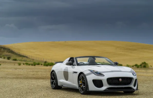 Картинка поле, белый, пасмурно, Jaguar, равнина, холм, V8, 575 л.с., 5.0 л., F-Type Project 7