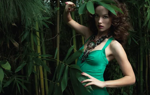 Девушка, украшения, заросли, тень, бамбук, платье, Оливия Уайлд, Olivia Wilde