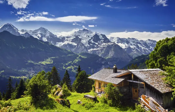 Картинка трава, деревья, горы, камни, скалы, Швейцария, ледник, панорама