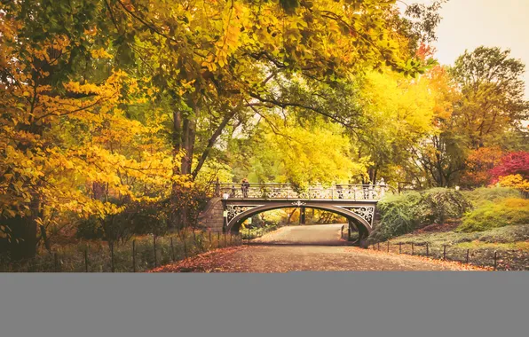 Картинка осень, листья, деревья, мост, парк, путь, люди, забор