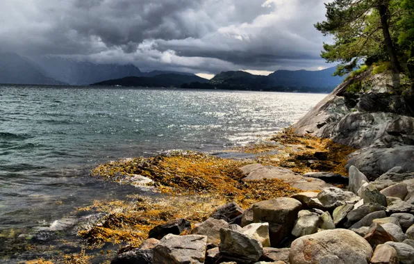 Море, облака, камни, побережье, Норвегия, Hardangerfjorden
