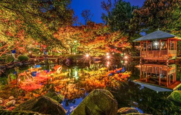 Картинка деревья, огни, пруд, парк, отражение, Япония, Токио, Tokyo