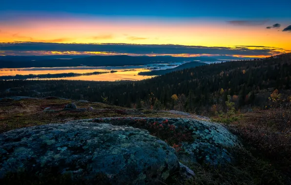 Картинка осень, лес, небо, облака, озеро, горизонт, Швеция, Sweden