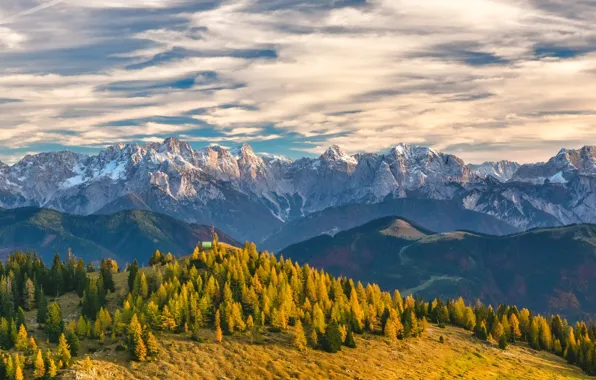 Лес, небо, облака, деревья, горы, Швейцария, Альпы, Switzerland