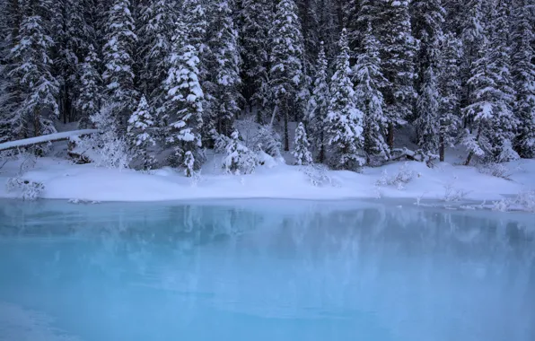 Зима, лес, вода, снег, деревья, Канада, Альберта, Banff National Park