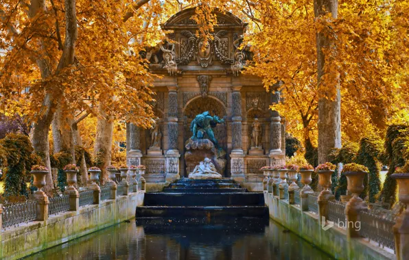 Осень, деревья, пейзаж, цветы, Франция, Париж, фонтан, Люксембургский сад