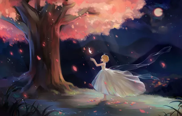 Свет, ночь, лепестки, сакура, девочка, Sakura, белое платье, цветение
