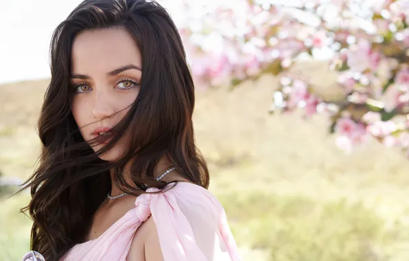 Картинка взгляд, девушка, природа, волосы, брюнетка, красотка, цветение, Ana de Armas