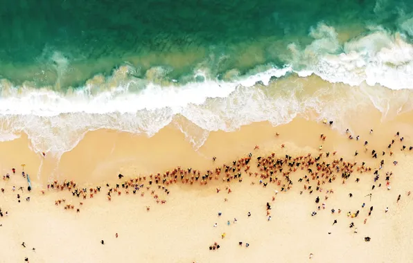 Море, пляж, берег, Австралия, Сидней, пловцы, Bondi Beach