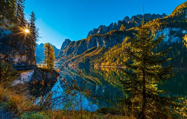 Осень, деревья, горы, озеро, отражение, ель, Австрия, Альпы