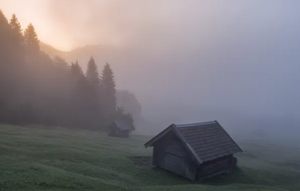 Картинка лес, деревья, туман, домик