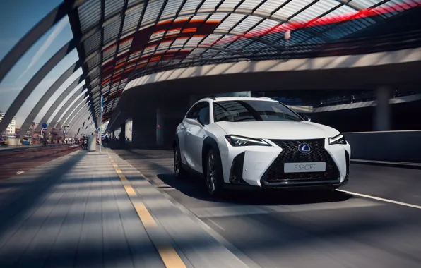 Lexus, 2018, кроссовер, Lexus UX, F SPORT, 250h