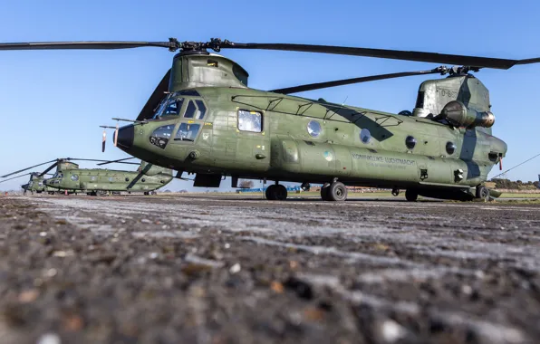 Картинка CH-47 Chinook, Chinook, Royal Netherlands Air Force, ВВС Нидерландов, Boeing CH-47D Chinook
