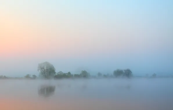 Картинка небо, вода, деревья, туман, река, утро