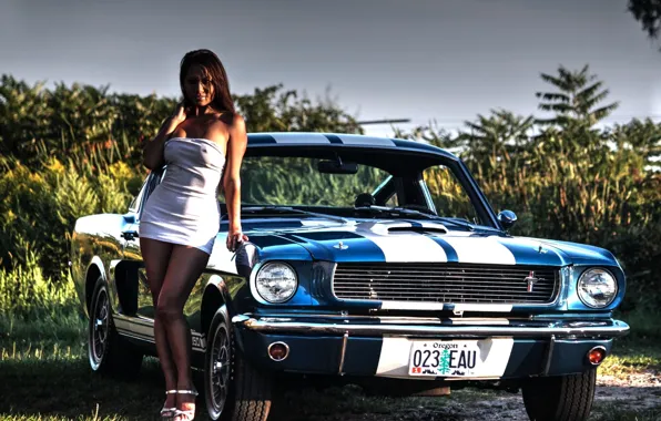 Зелень, авто, эротика, небо, взгляд, девушка, Ford