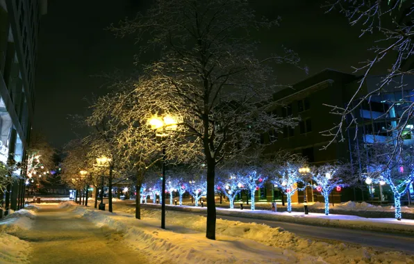 Картинка зима, снег, деревья, город, огни, фонари