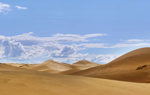 Landscape, nature, land, oasis, landmark, mongolian, mongol, mongolia