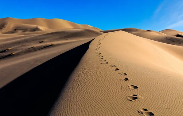 Песок, следы, пустыня, дюны