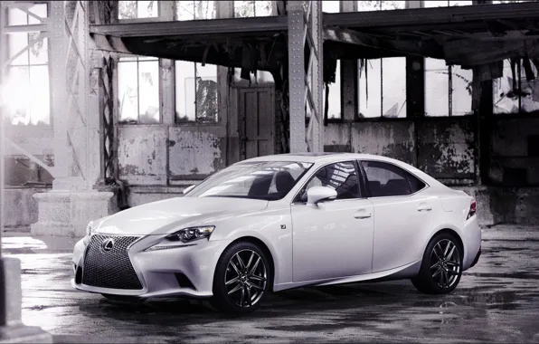 Lexus, 2014, The New