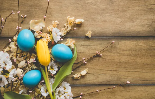 Картинка цветы, ромашки, весна, Пасха, wood, flowers, spring, Easter