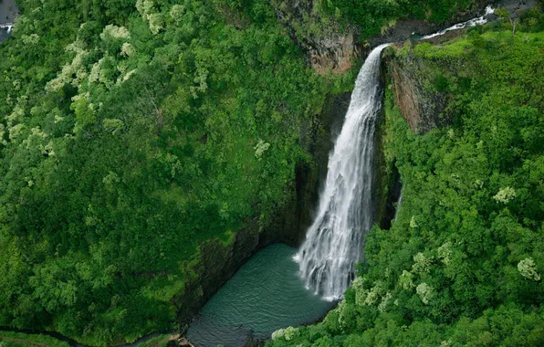 Картинка лес, река, водопад, Hawaii, Kauai, Hanapepe valley, Manawaiopuna falls