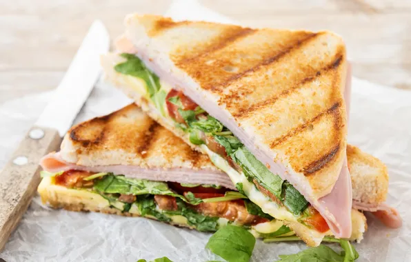 Cheese, tomato, sandwich, ham, arugula, panini