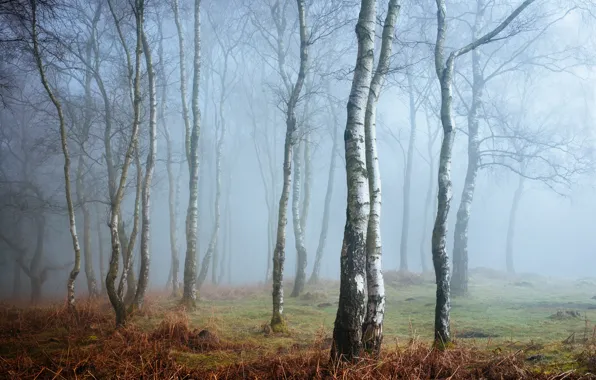 Картинка туман, Англия, Derbyshire, Peak District