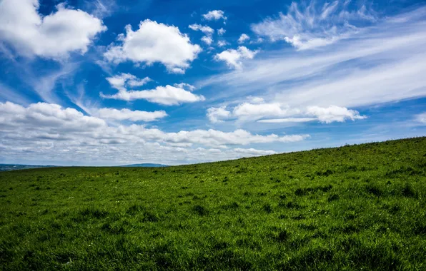 Поле, небо, трава, облака, пейзаж, природа, горизонт, grass