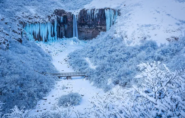 Картинка зима, лес, снег, мост, скала, река, Исландия, Iceland