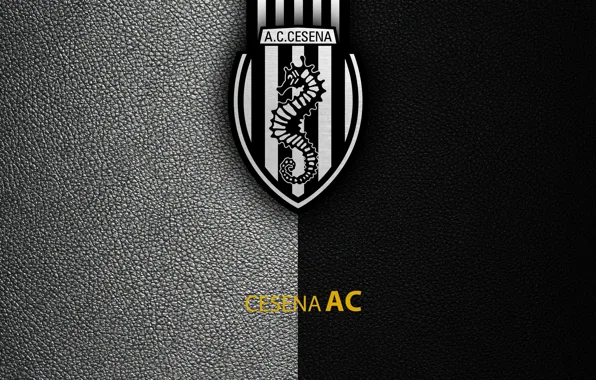 Wallpaper, sport, logo, football, Italian Seria A, AC Cesena