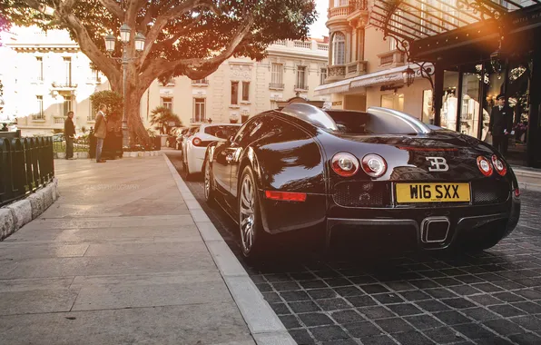 Картинка черный, veyron, bugatti, задок, monaco, гиперкар, 16.4