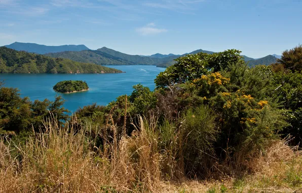 Картинка пейзаж, природа, река, остров, Новая Зеландия, South