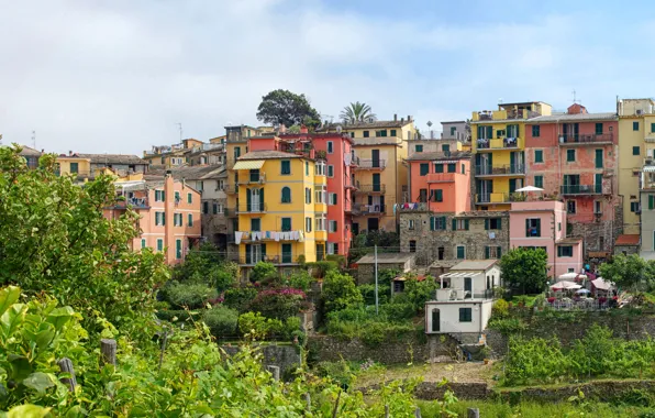 Картинка деревья, дома, Италия, Cinque Terre, Corniglia