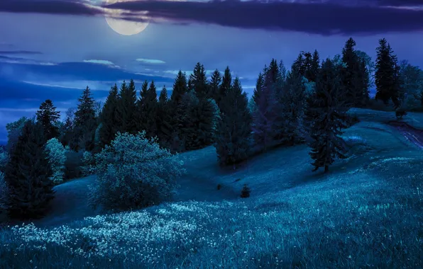 Картинка деревья, ночь, природа, холмы, луна, nature, night, the hills