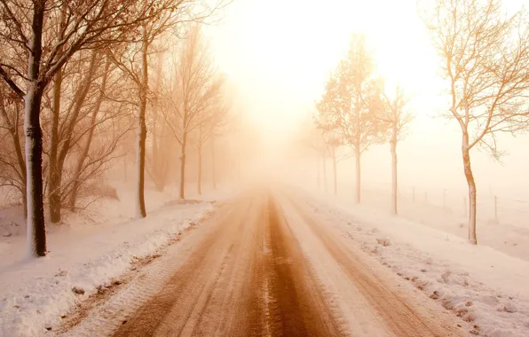 Зима, дорога, снег, деревья, пейзаж, ветки, природа, фон
