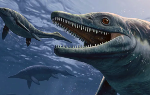 Картинка рисунок, арт, Доисторическое морское чудовище, Thalattoarchon Saurophagis, вид ихтиозавров, Талаттоархон