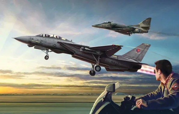 США, Палубный, истребитель-перехватчик, многоцелевой истребитель, Штурмовик, US NAVY, Gianluca Capaldo, Top Gun F-14A vs A-4F