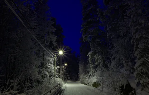 Landscape, night, winter, Guided by The Stars