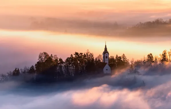 Tower, sunset, fog, Church
