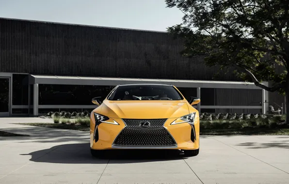 Lexus, вид спереди, LC 500, 2019, Inspiration Concept
