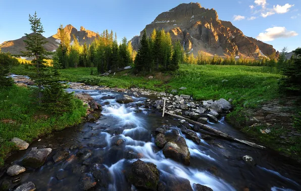 Деревья, горы, природа, камни, речка