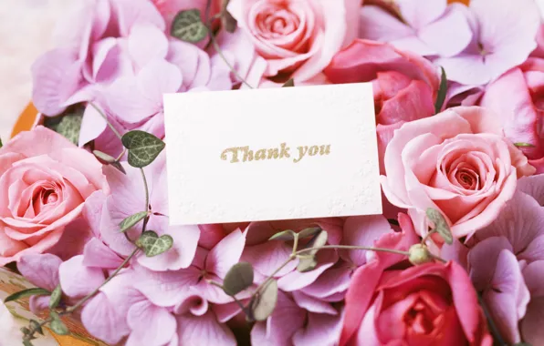 Цветы, розы, букет, flowers, спасибо, bouquet, roses, открытки