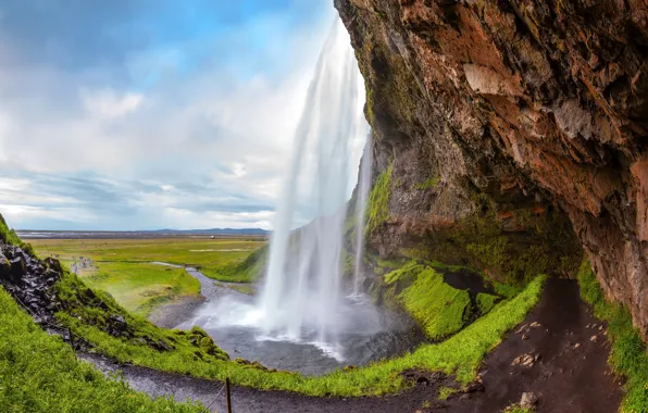 Зелень, трава, скала, камни, водопад, мох, Исландия, Seljalandsfoss