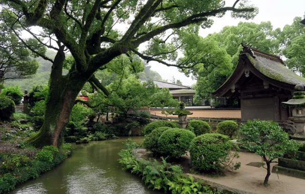 Парк, ручей, Japan, усадьба, сад камней