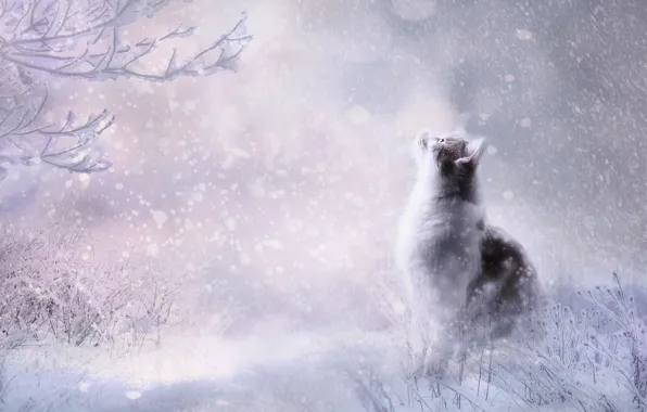Картинка зима, кошка, кот, взгляд, снег, поза, рендеринг, сугробы