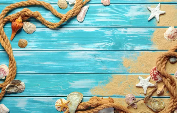 Картинка песок, пляж, ракушки, beach, wood, sand, marine, still life