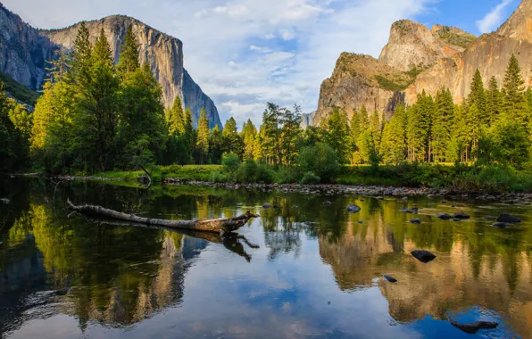 Лес, горы, река, камни, Калифорния, США, коряга, Yosemite National Park