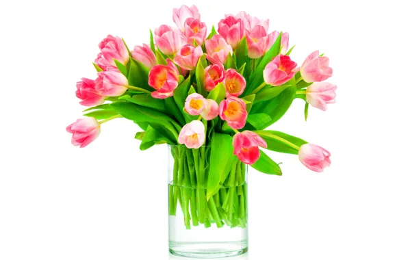 Букет, тюльпаны, love, fresh, pink, flowers, romantic, tulips