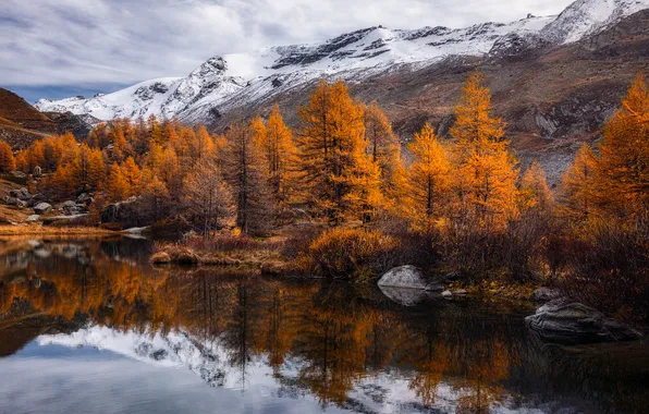Осень, лес, снег, горы, отражение, водоем, лиственницы